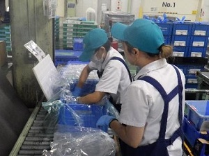 2024年入社　物流部　KD包装課2